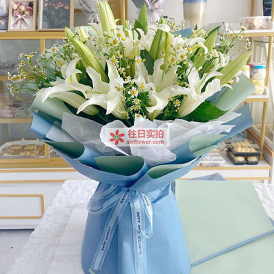 乐山8支白色多头百合洋甘菊，互倾的思念