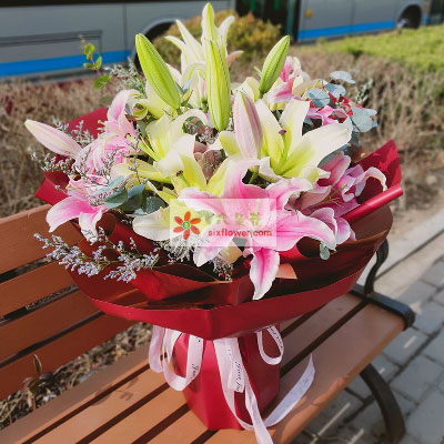 乐山8支多头百合,万事如意喜上加喜