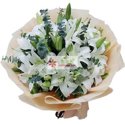 乐山9支白色多头百合，祝福你幸福